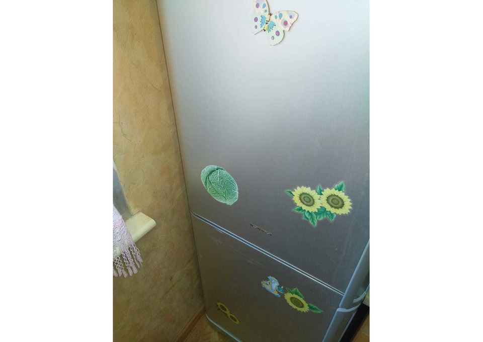 Ремонт холодильников в Павловском Посаде на дому. Частный мастер