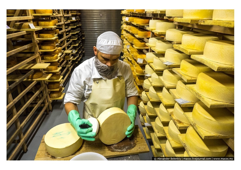 Завод сыра набирает Работников производства 